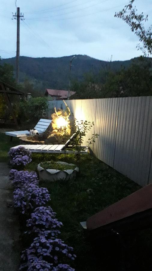 Лаванда Jaremče Esterno foto